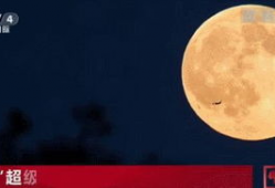 新月视频,探索未知，点亮视野的科技之光