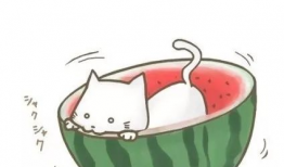 吃瓜每日爆料动漫视频,动漫圈大揭秘，精彩瞬间一网打尽！